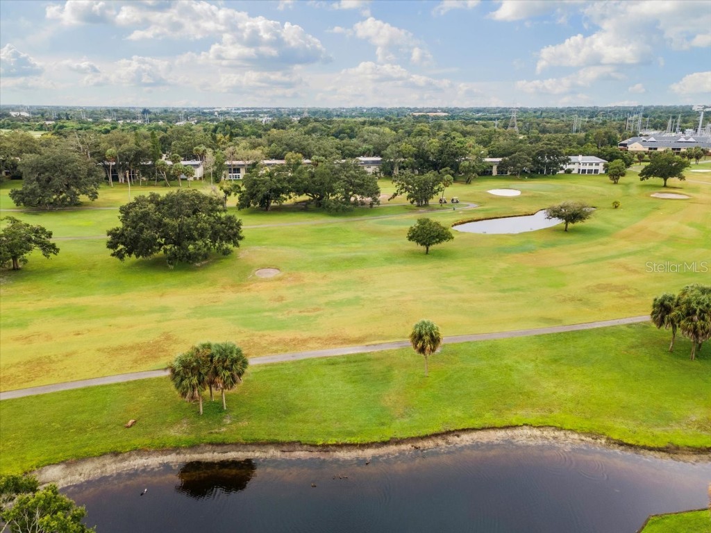225 Country Club Drive #1211 Largo FL 33771 TB8432446 image56