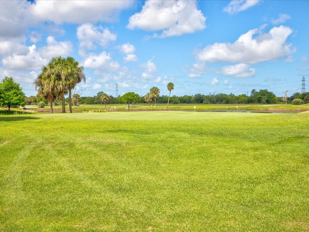 225 Country Club Drive #1211 Largo FL 33771 TB8432446 image85