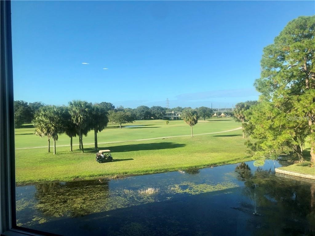 225 Country Club Drive #1310 Largo FL 33771 U8217799 image1