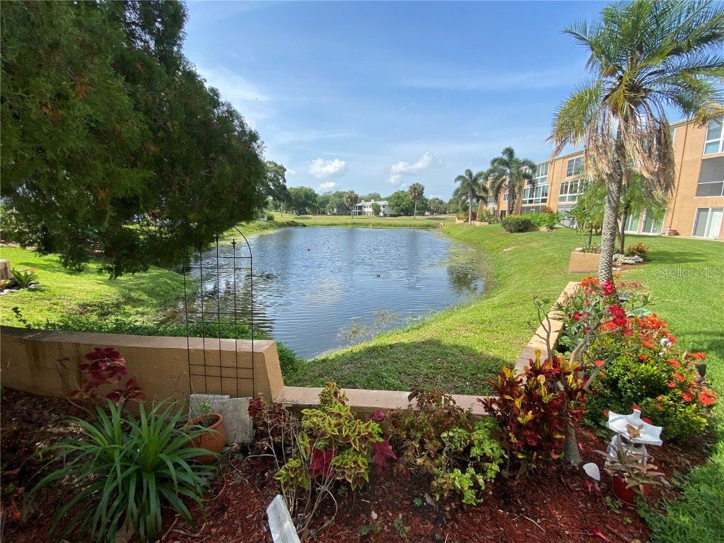 225 Country Club Drive #B113 Largo FL 33771 U8243781 image1