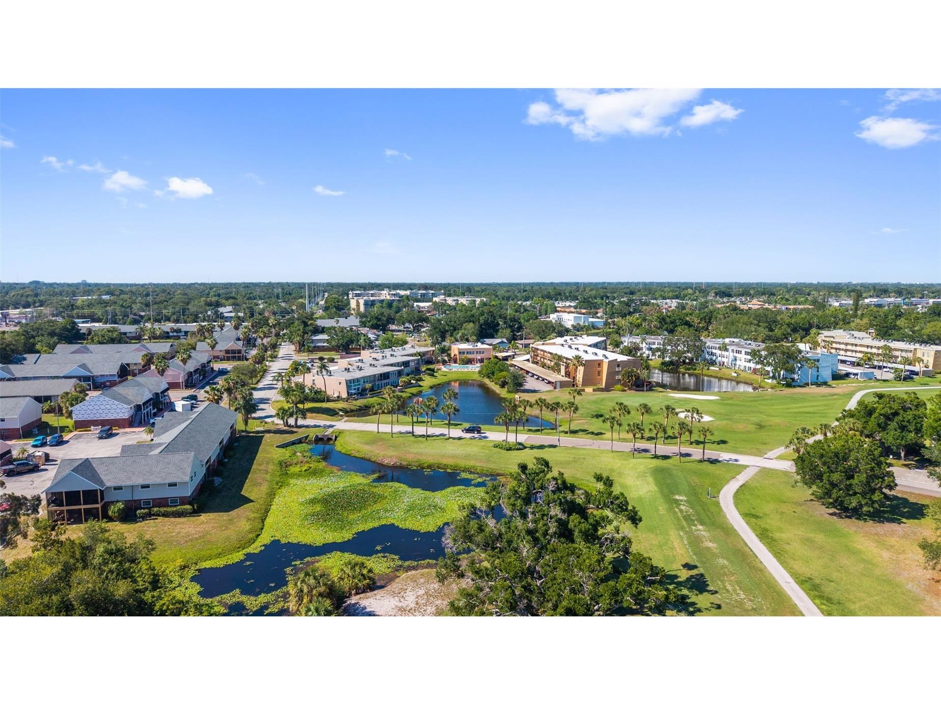 225 Country Club Drive #B221 Largo FL 33771 TB8509961 image46