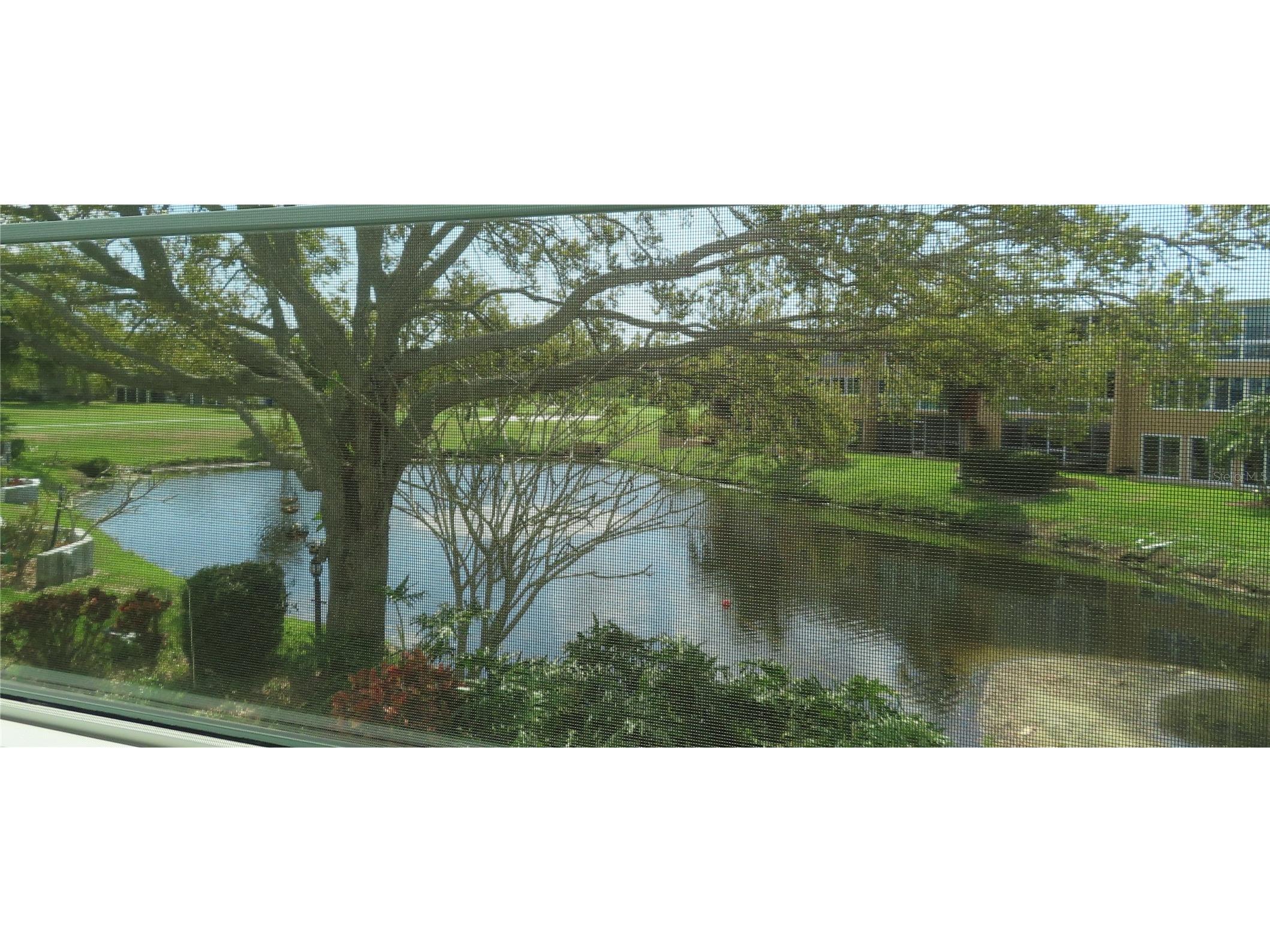 225 Country Club Drive #C225 Largo FL 33771 TB8485144 image1