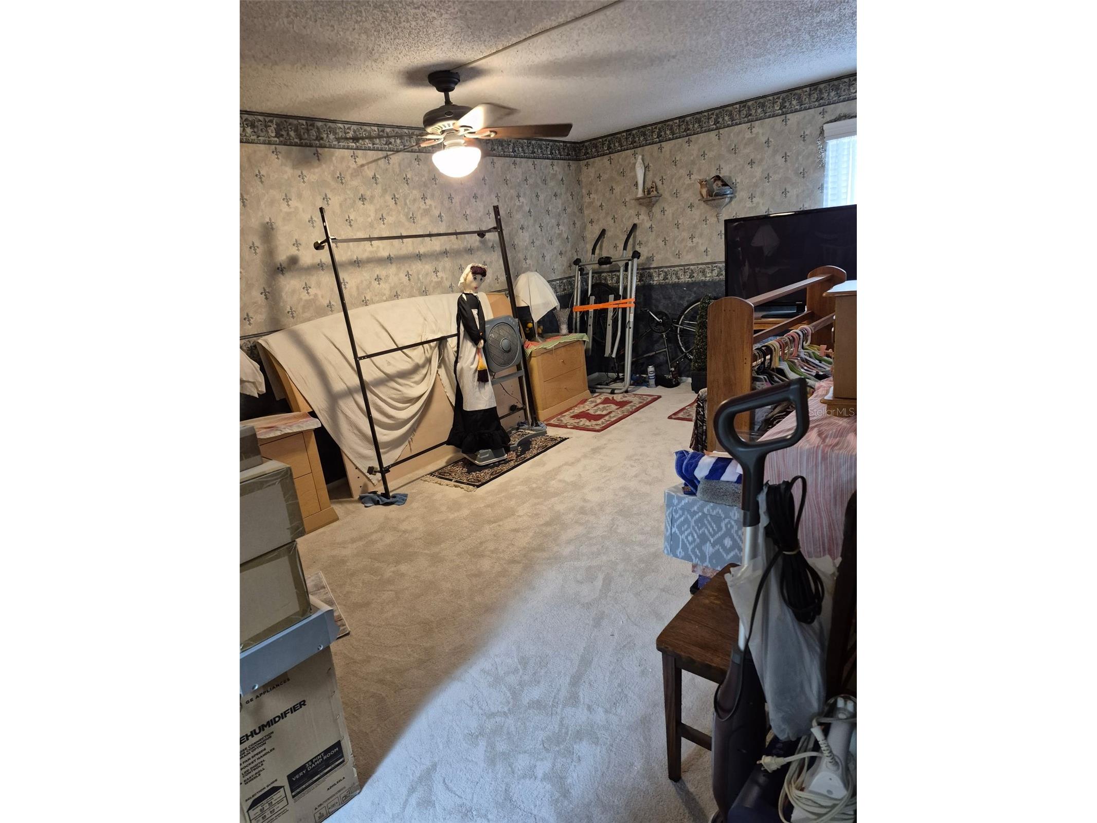 225 Country Club Drive #C225 Largo FL 33771 TB8485144 image20