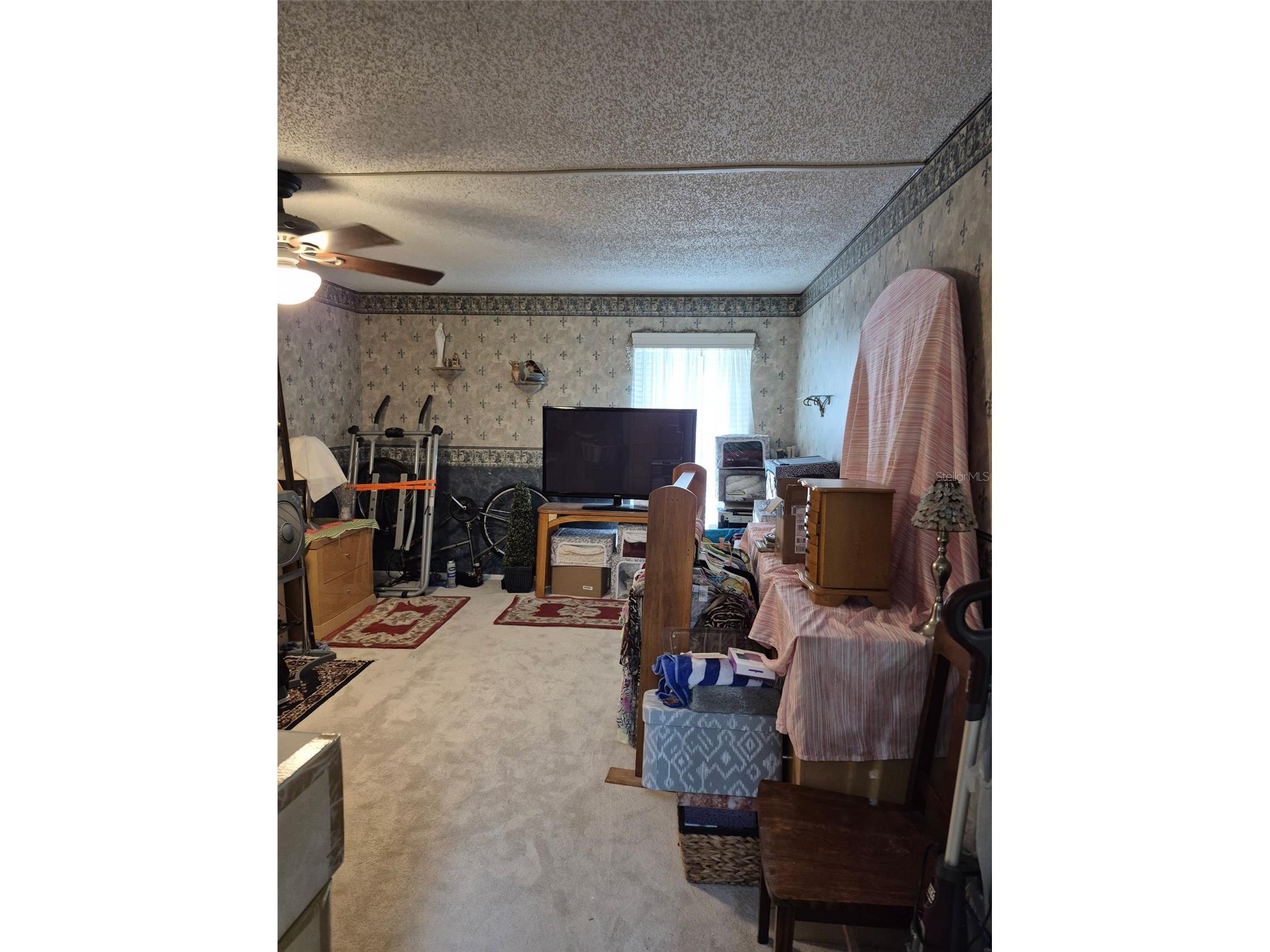 225 Country Club Drive #C225 Largo FL 33771 TB8485144 image22