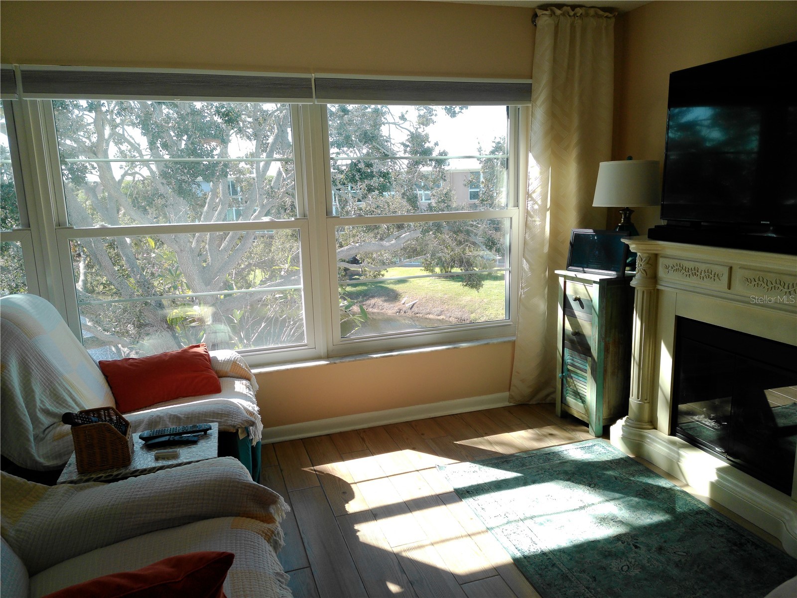 225 Country Club Drive #C326 Largo FL 33771 TB8464227 image24