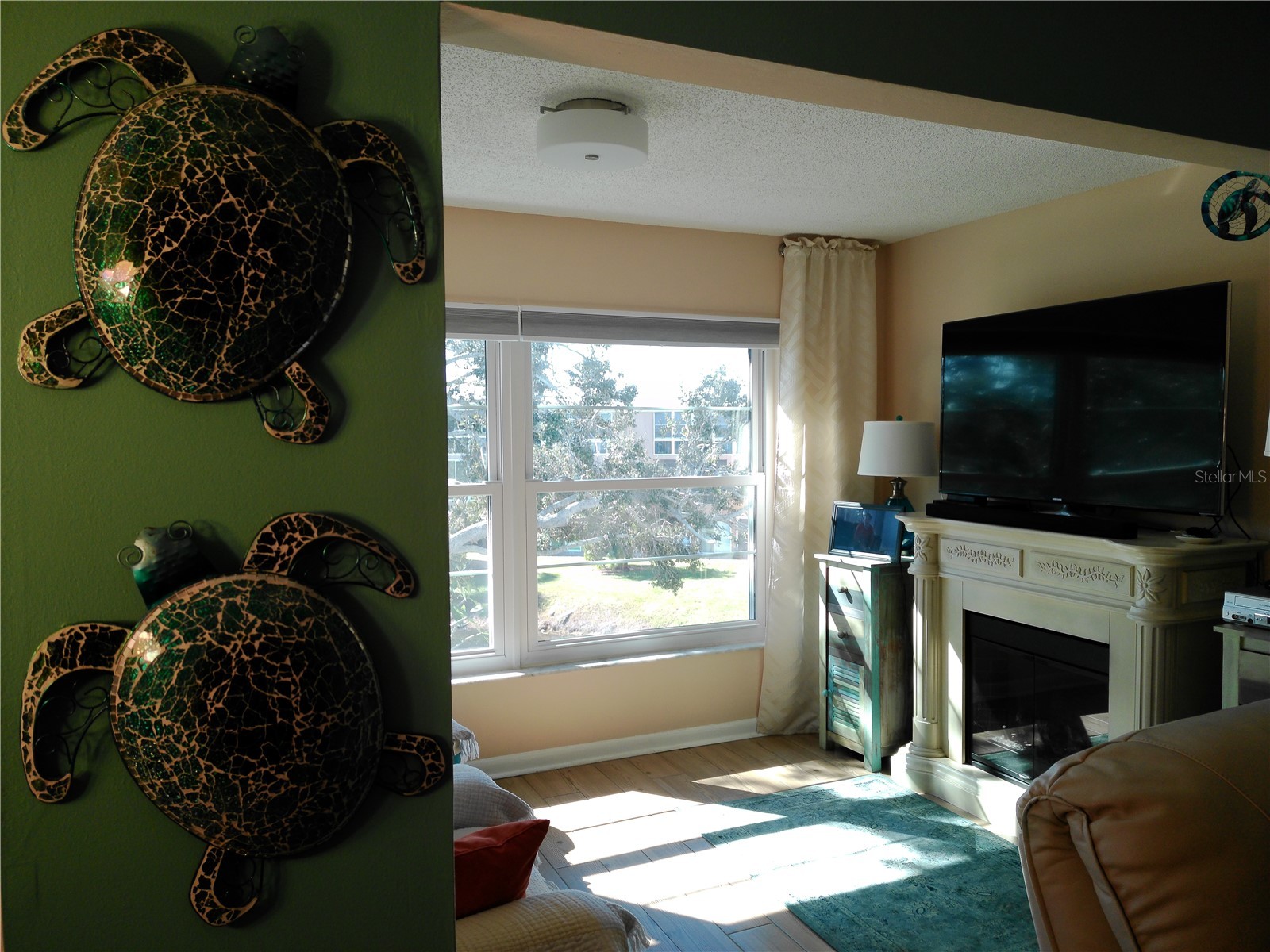 225 Country Club Drive #C326 Largo FL 33771 TB8464227 image25