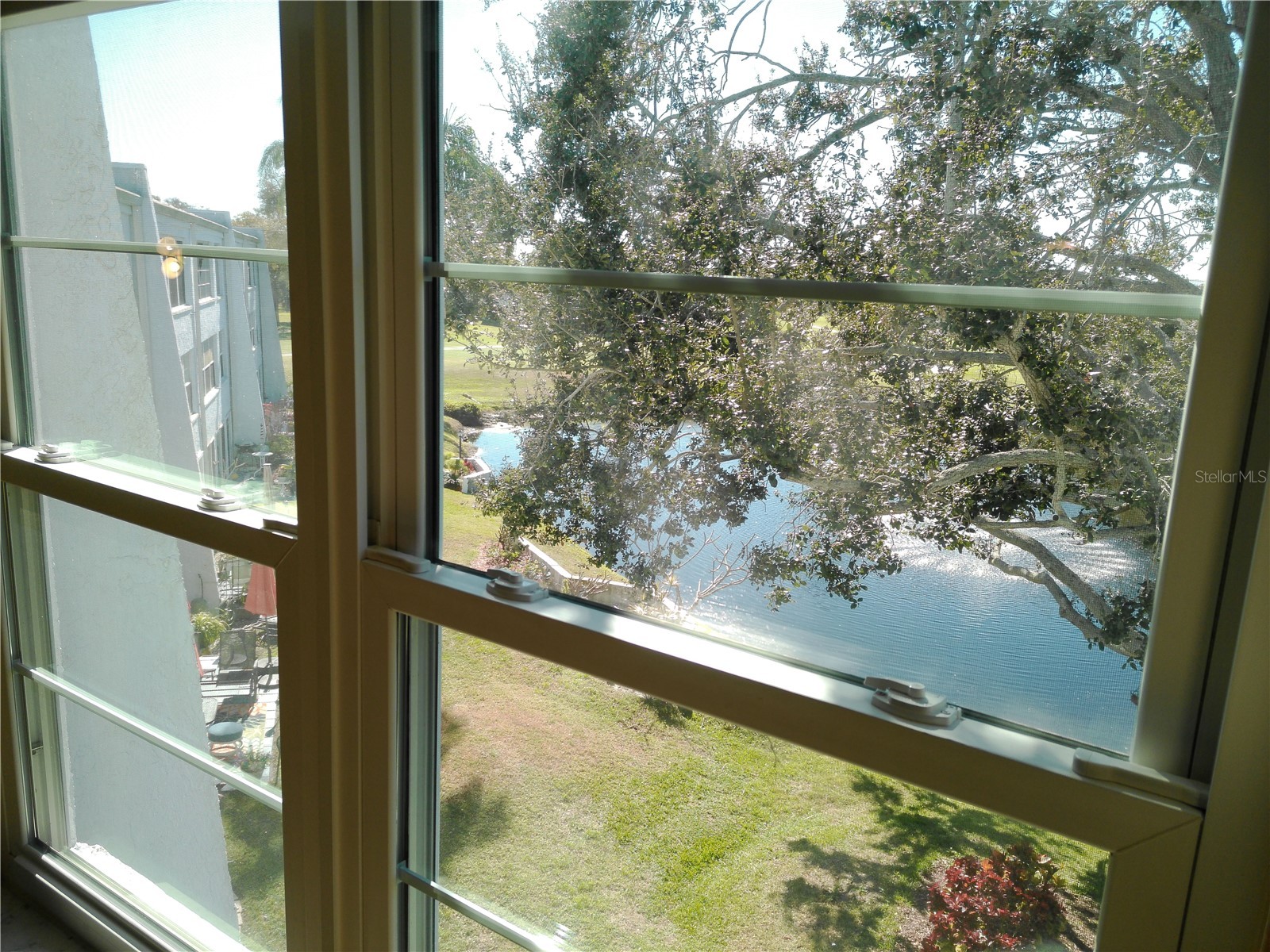 225 Country Club Drive #C326 Largo FL 33771 TB8464227 image34