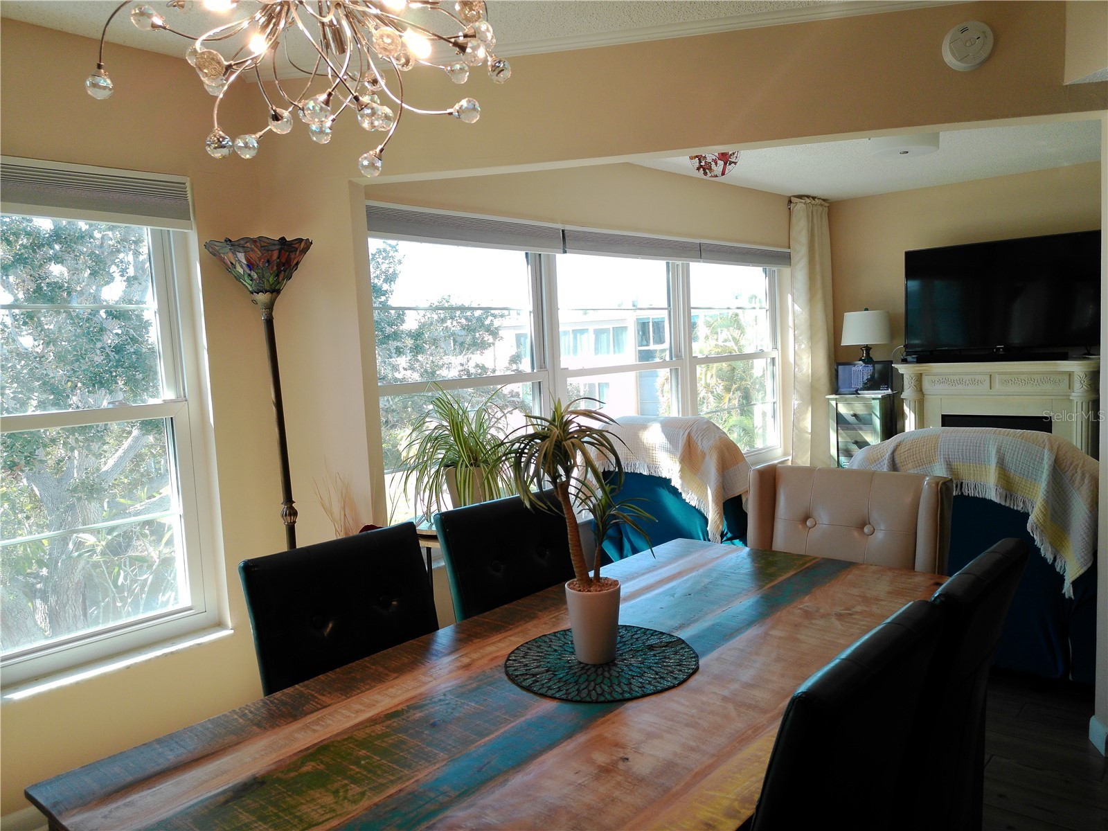 225 Country Club Drive #C326 Largo FL 33771 TB8464227 image38