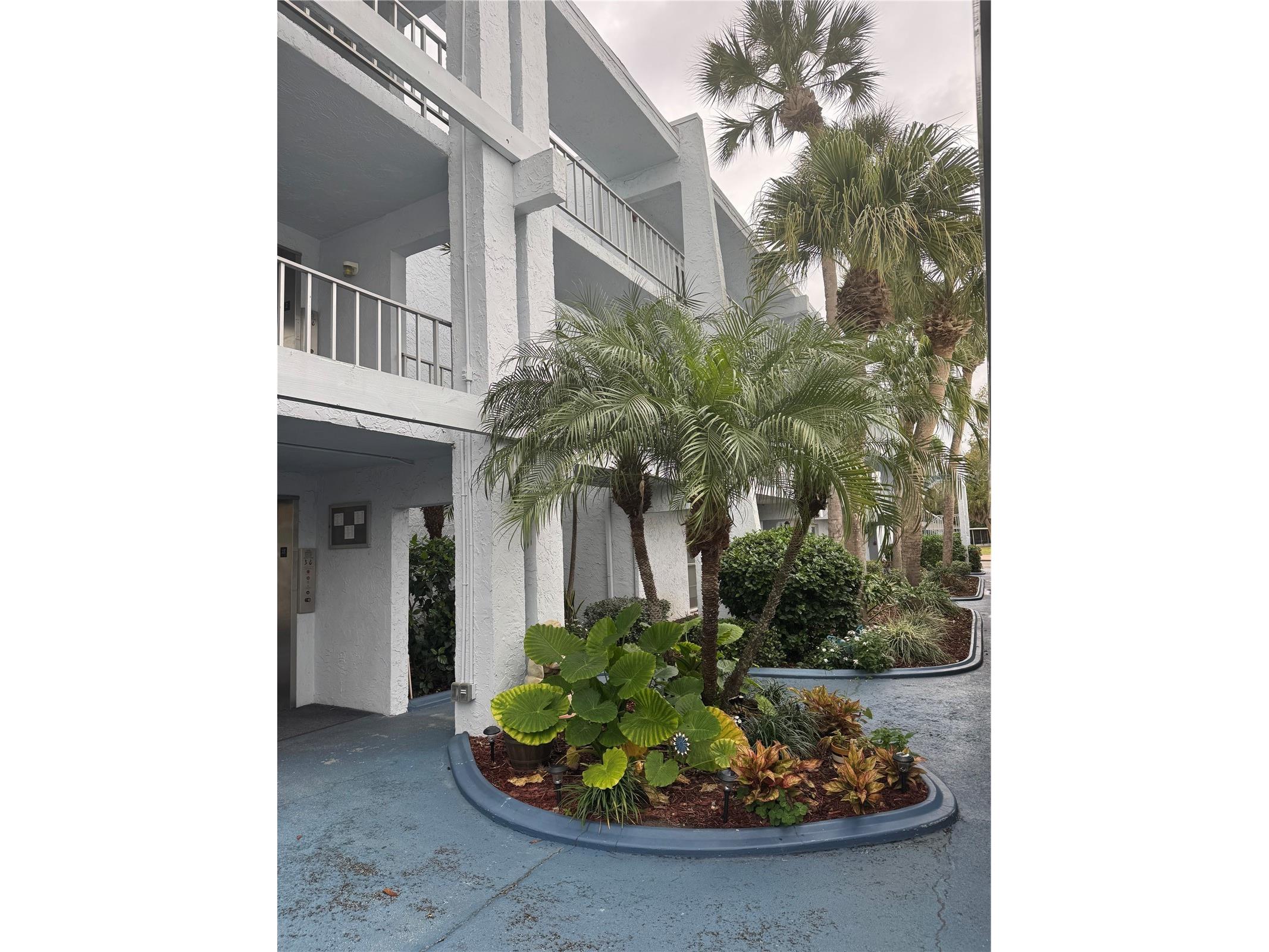 225 Country Club Drive #C326 Largo FL 33771 TB8464227 image5