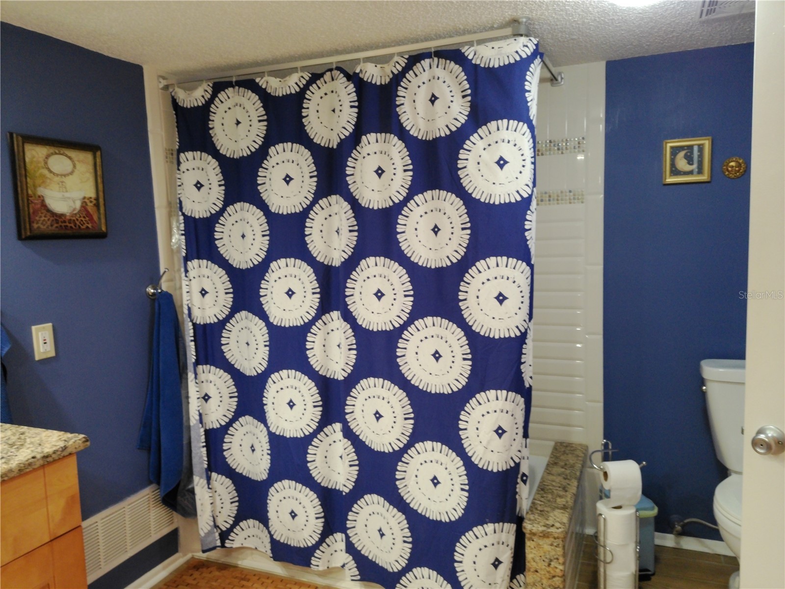 225 Country Club Drive #C326 Largo FL 33771 TB8464227 image57