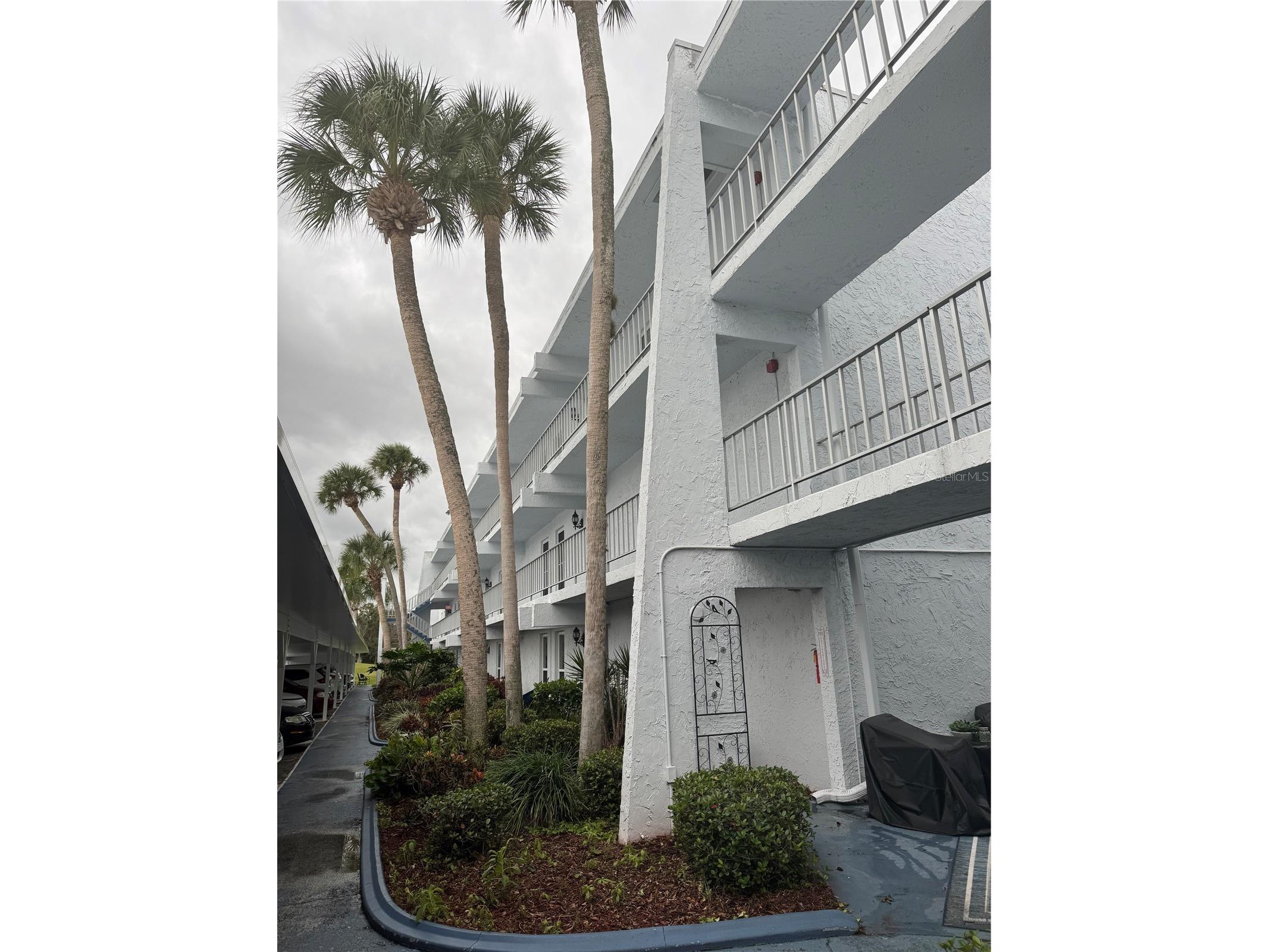 225 Country Club Drive #C326 Largo FL 33771 TB8464227 image6