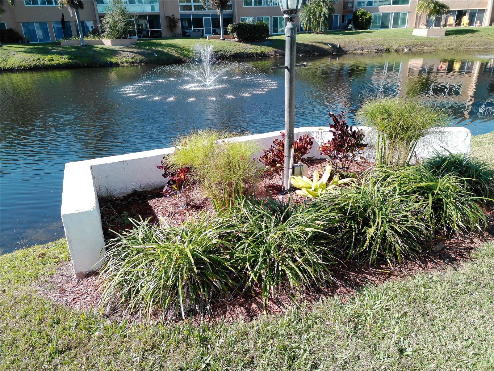 225 Country Club Drive #C326 Largo FL 33771 TB8464227 image68