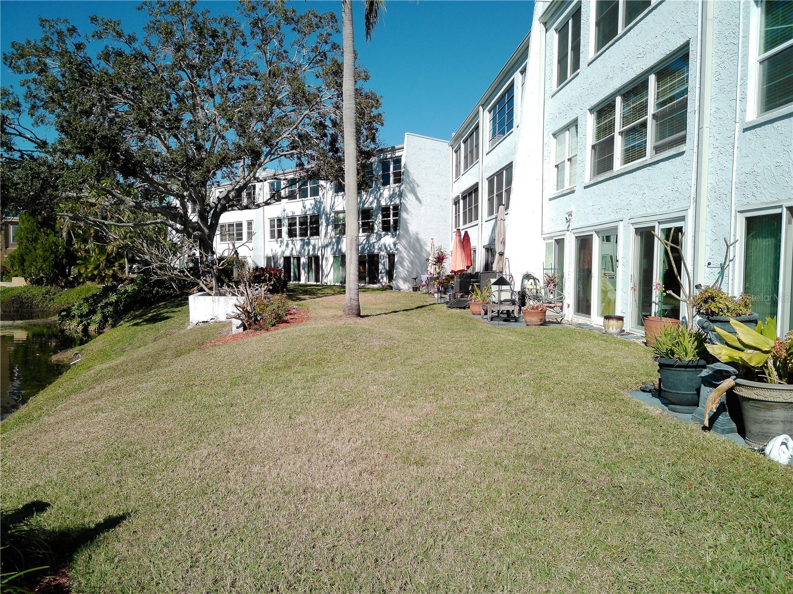 225 Country Club Drive #C326 Largo FL 33771 TB8464227 image70