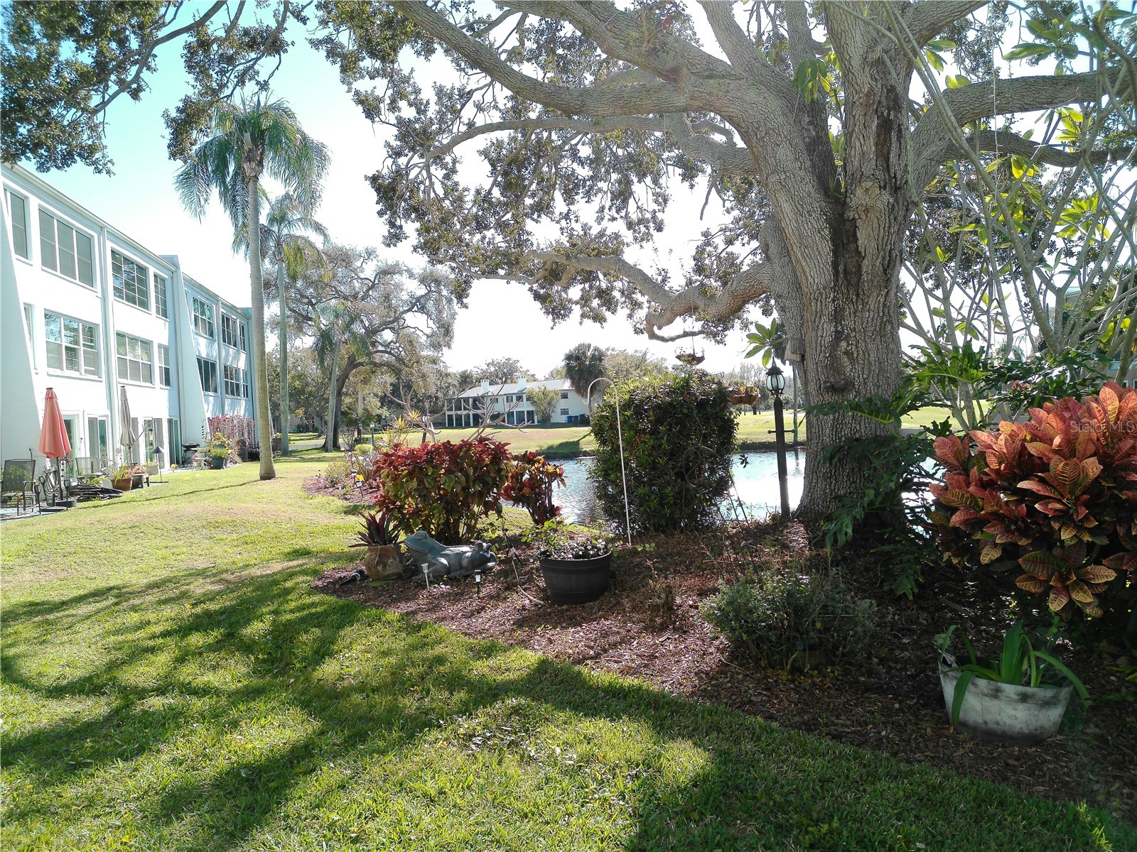225 Country Club Drive #C326 Largo FL 33771 TB8464227 image72