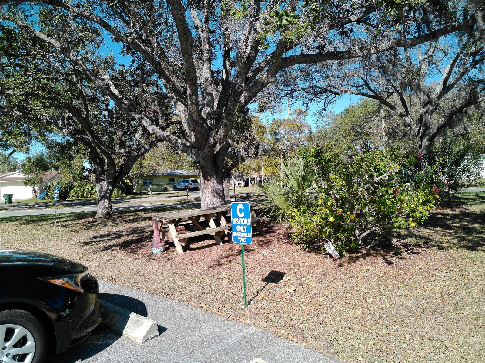 225 Country Club Drive #C326 Largo FL 33771 TB8464227 image74