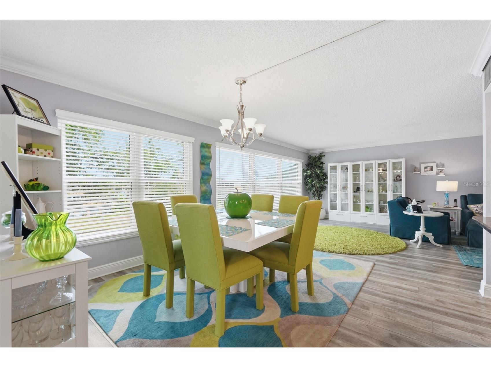 225 Country Club Drive #C332 Largo FL 33771 TB8506762 image34