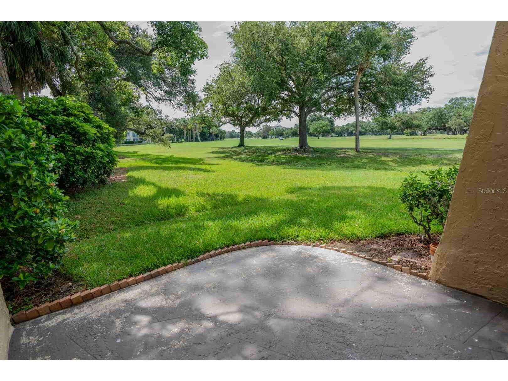 225 Country Club Drive #D142 Largo FL 33771 TB8525826 image48