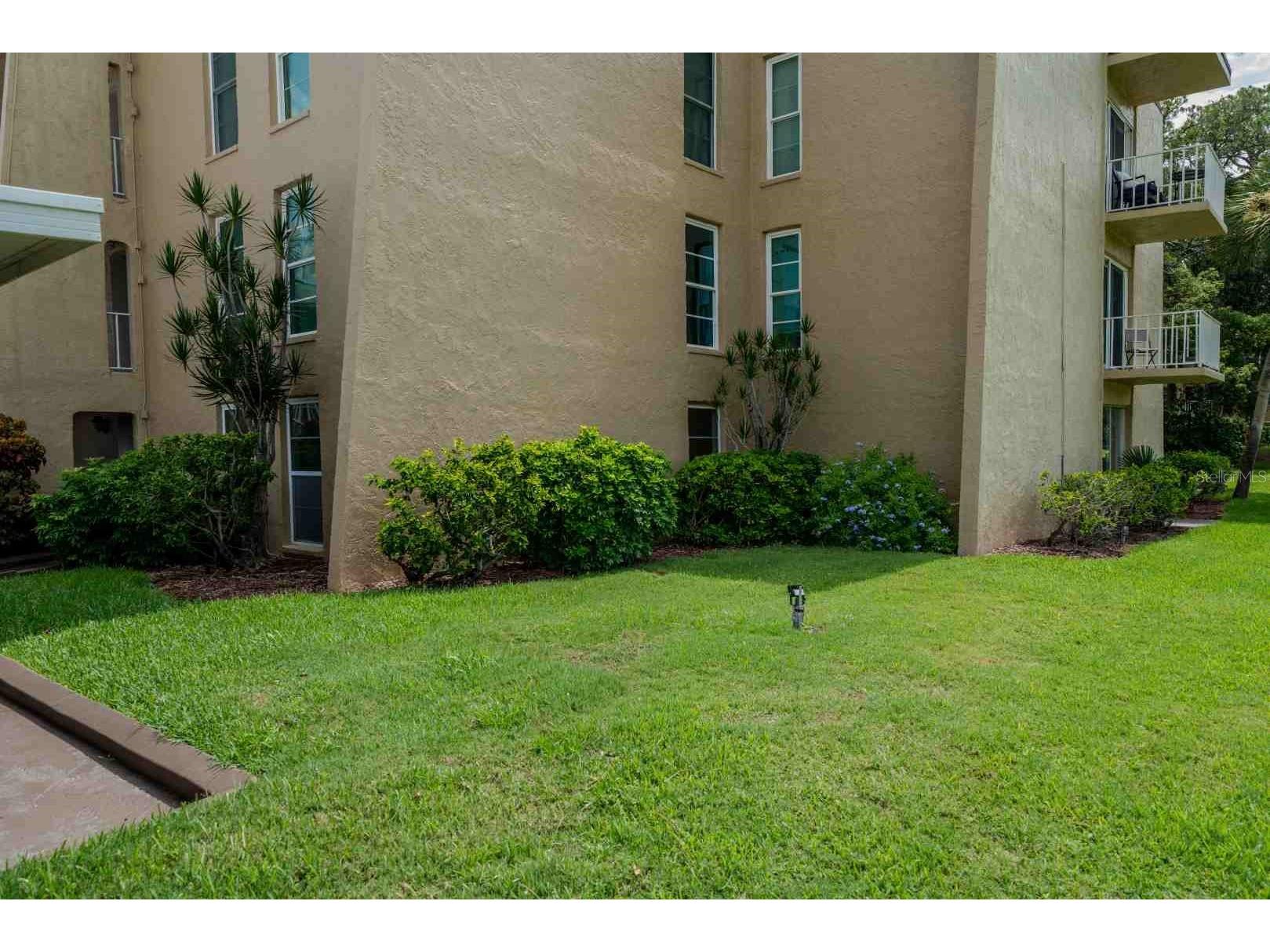 225 Country Club Drive #D142 Largo FL 33771 TB8525826 image54