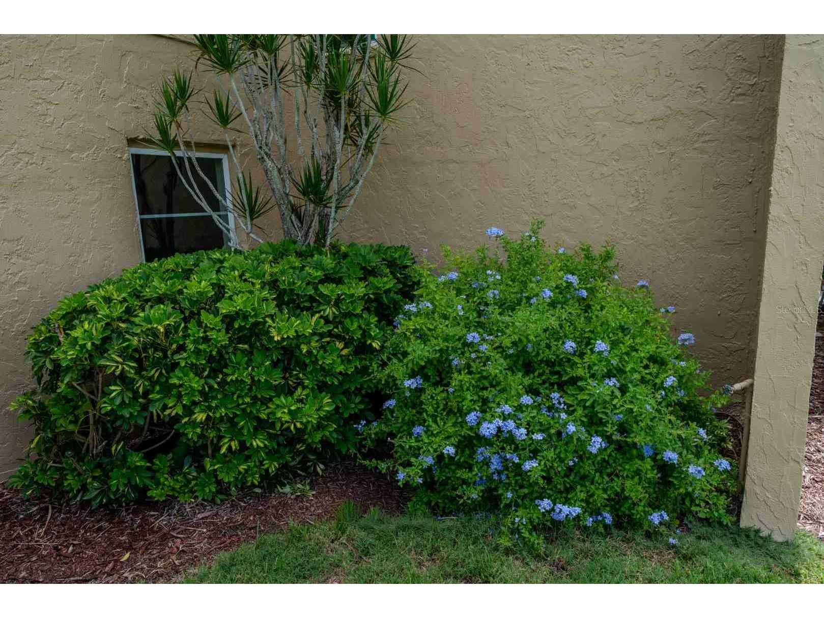 225 Country Club Drive #D142 Largo FL 33771 TB8525826 image55