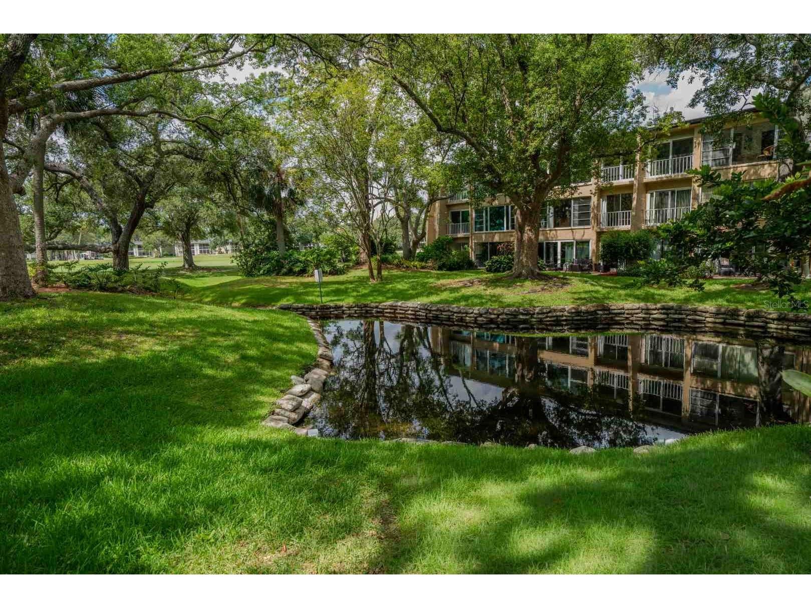 225 Country Club Drive #D142 Largo FL 33771 TB8525826 image58