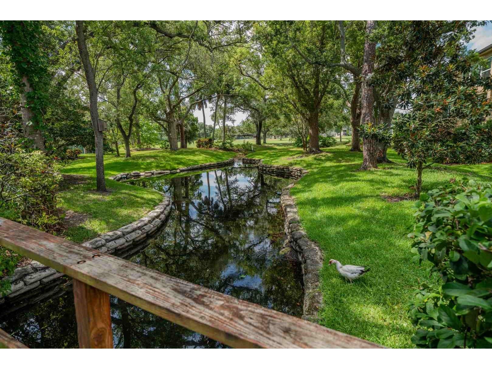 225 Country Club Drive #D142 Largo FL 33771 TB8525826 image61