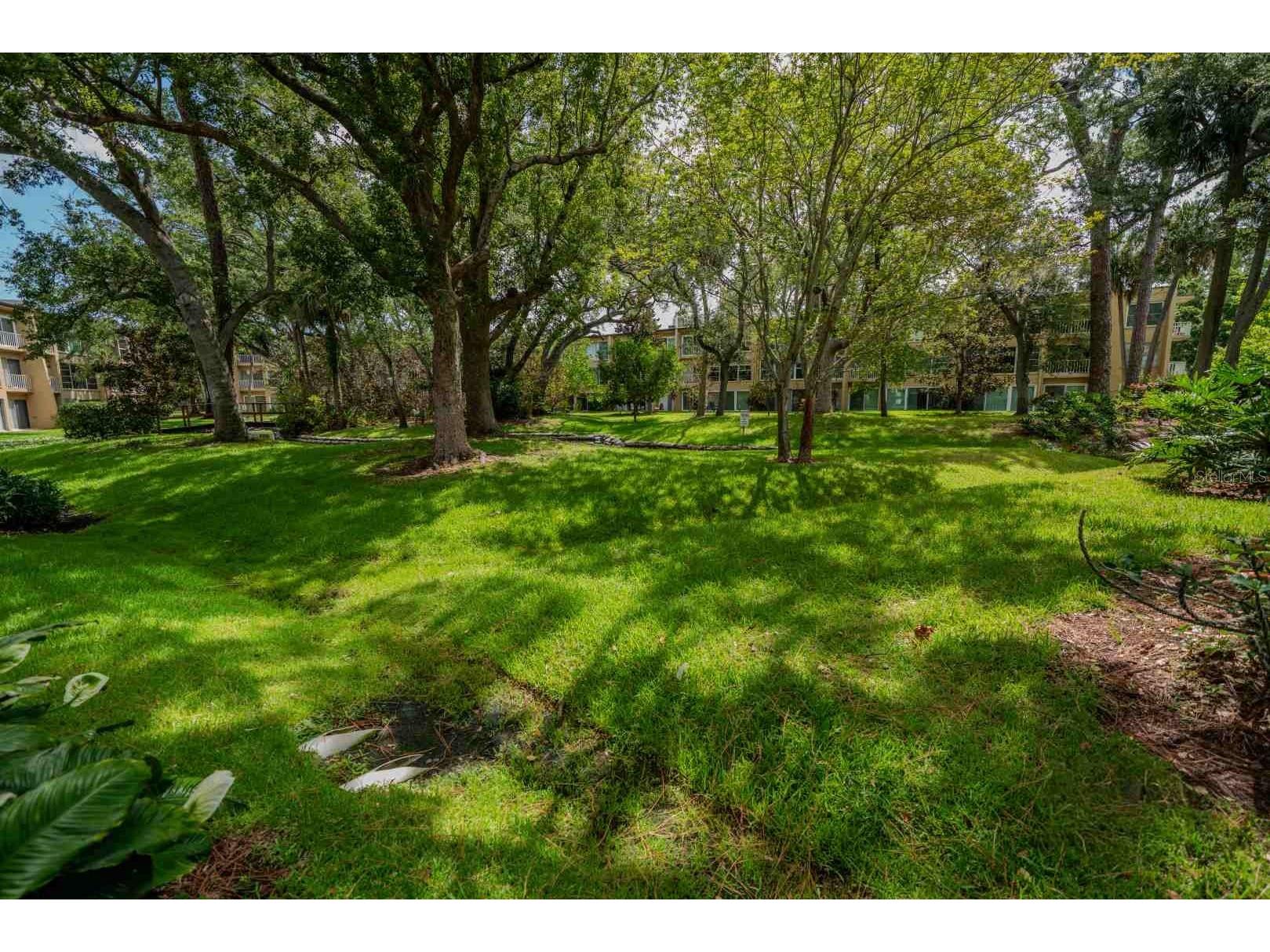 225 Country Club Drive #D142 Largo FL 33771 TB8525826 image63