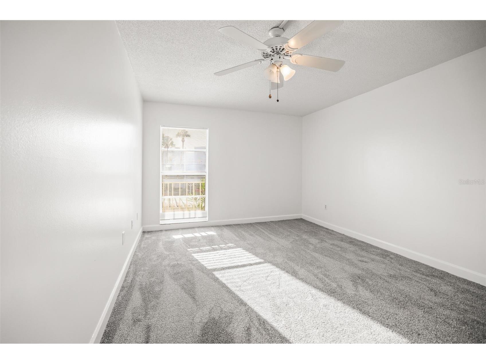 225 Country Club Drive #D237 Largo FL 33771 TB8485265 image18