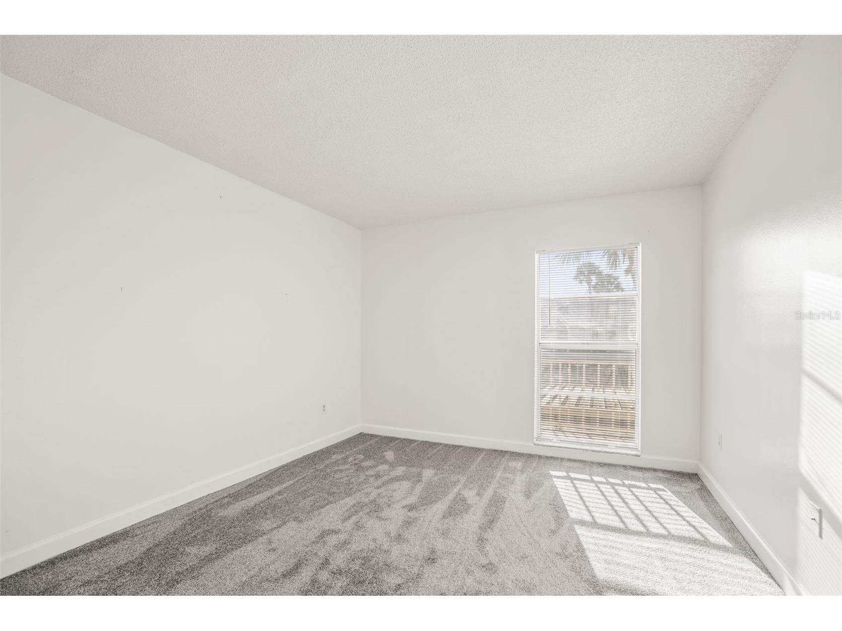 225 Country Club Drive #D237 Largo FL 33771 TB8485265 image23