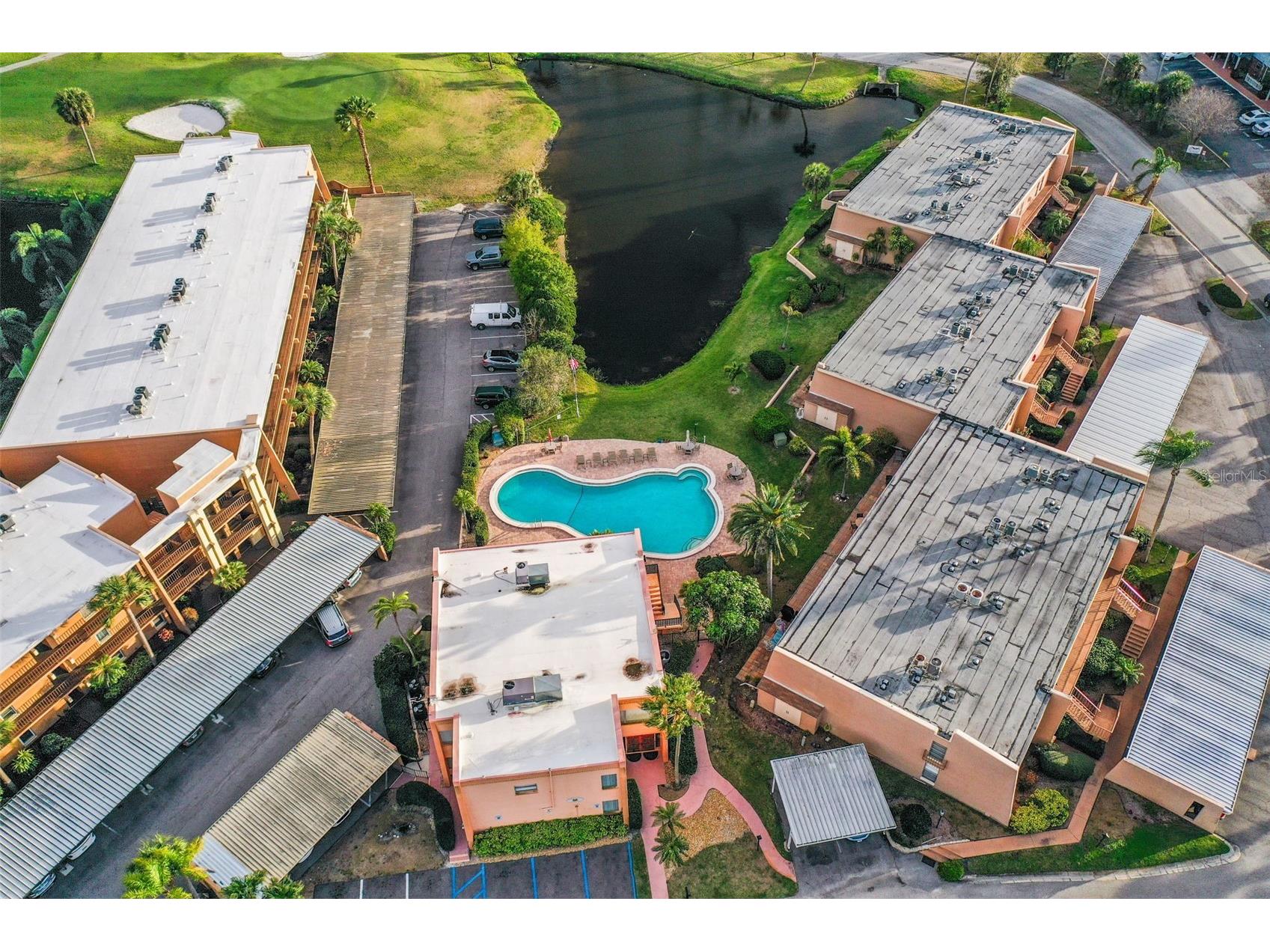 225 Country Club Drive #D237 Largo FL 33771 TB8485265 image30