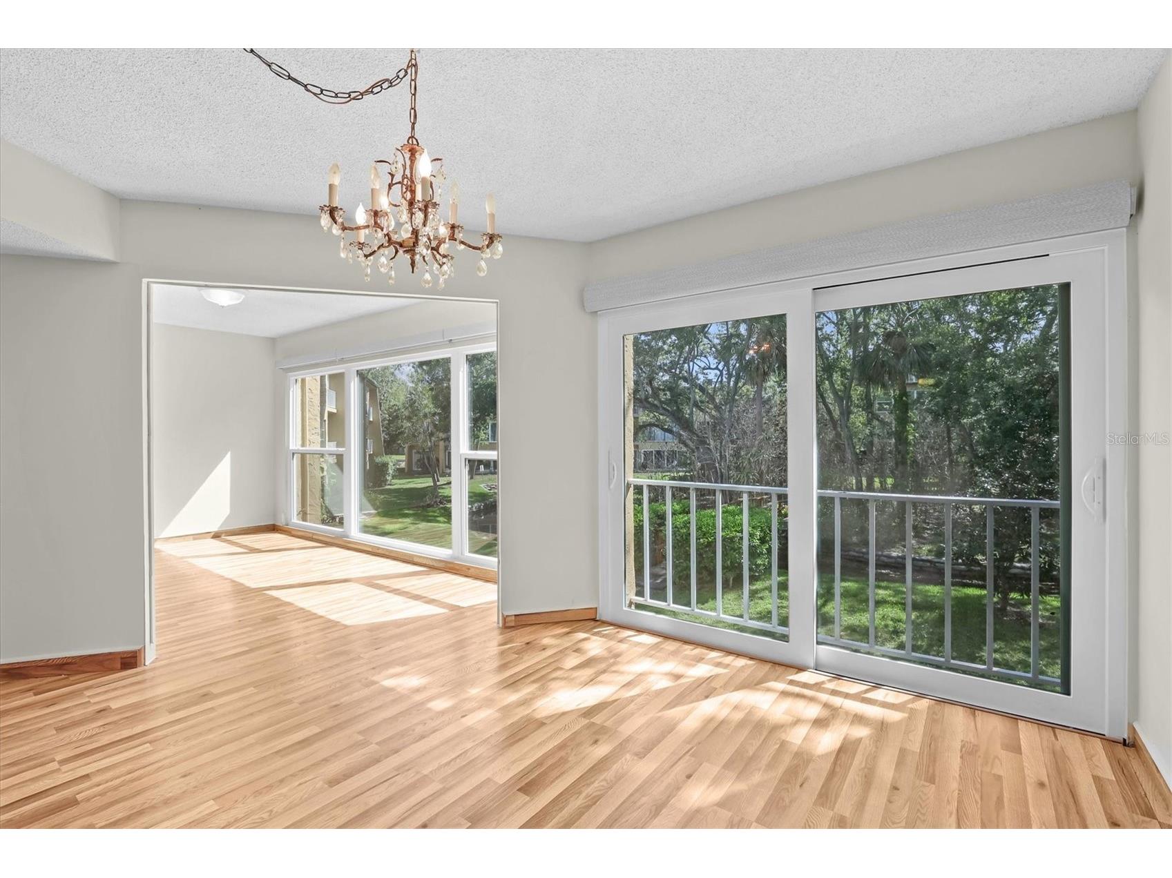 225 Country Club Drive #D238 Largo FL 33771 TB8493620 image15