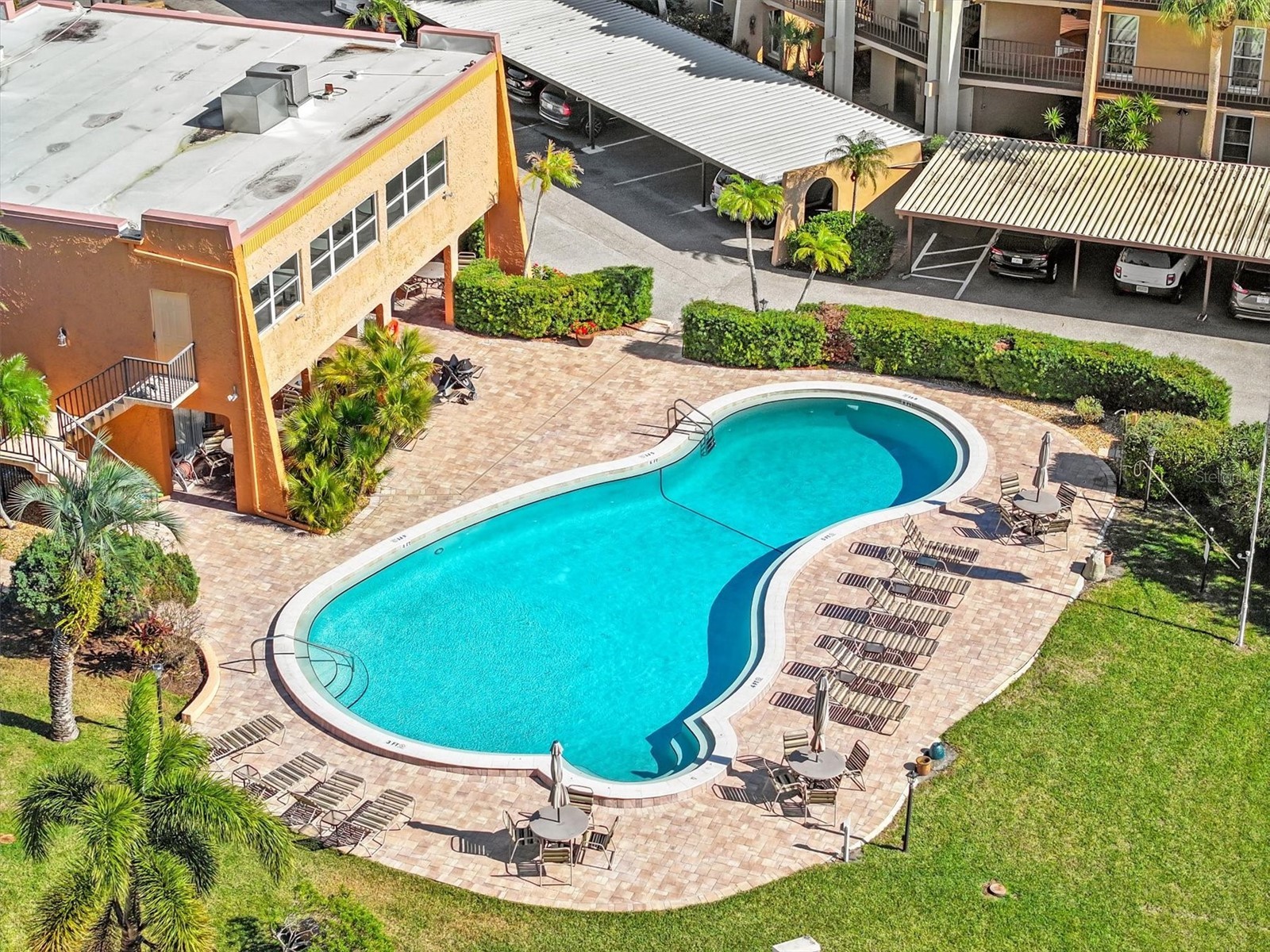 225 Country Club Drive #D238 Largo FL 33771 TB8493620 image41