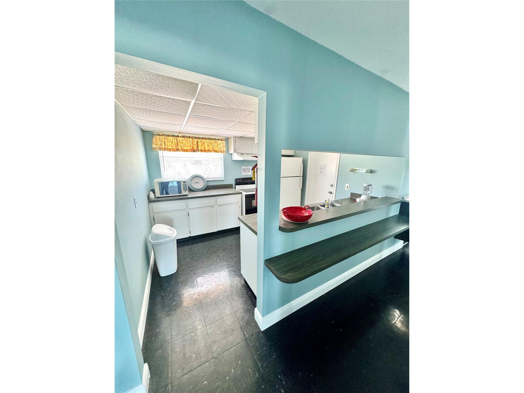 225 Country Club Drive #D238 Largo FL 33771 TB8493620 image44