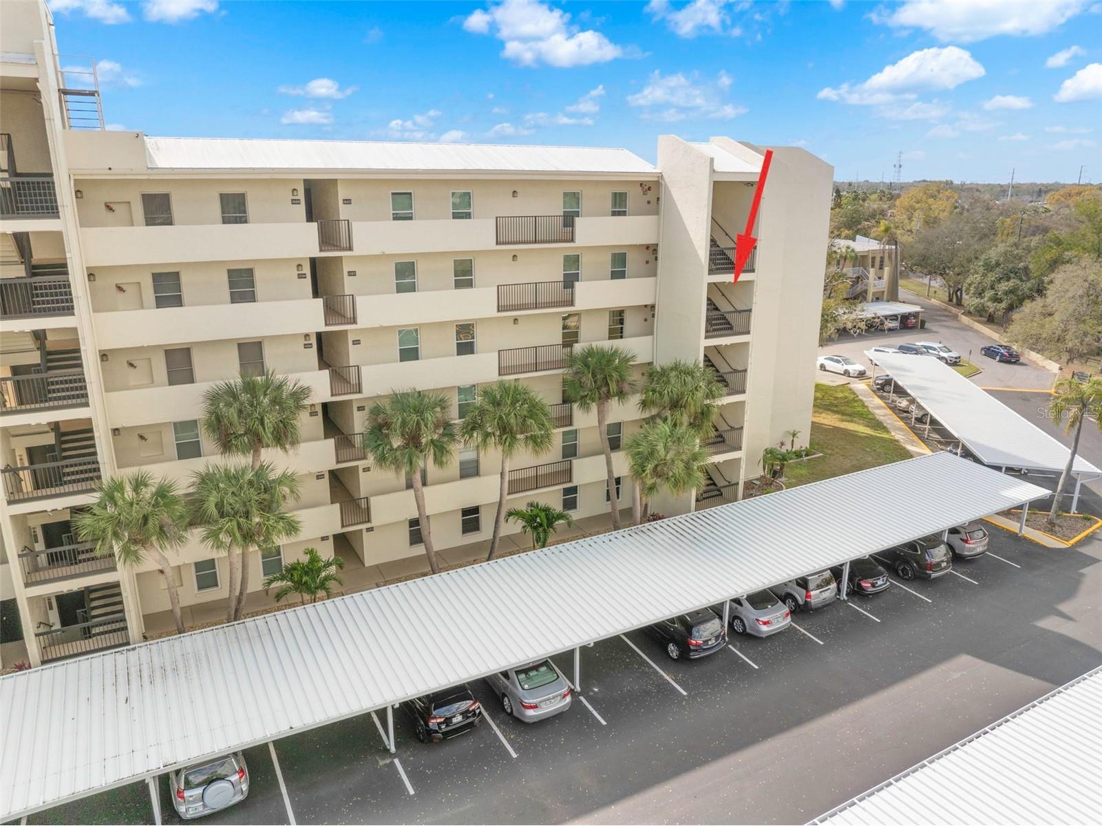 225 Country Club Drive #F-1401 Largo FL 33771 TB8482462 image28