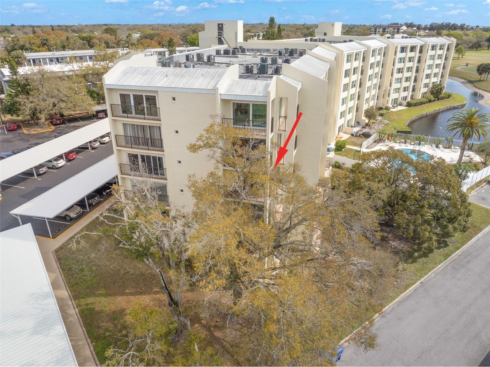 225 Country Club Drive #F-1401 Largo FL 33771 TB8482462 image30