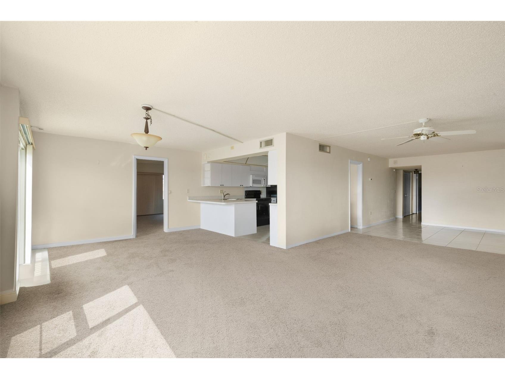 225 Country Club Drive #F-1401 Largo FL 33771 TB8482462 image8