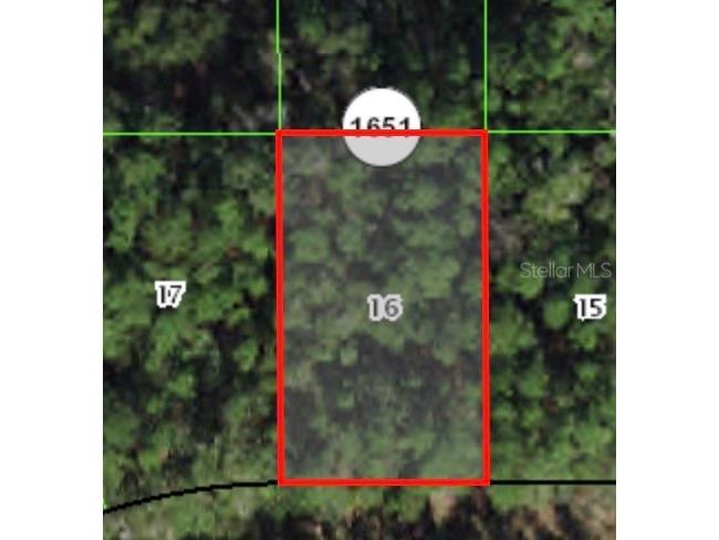 225 E Enfield Lane Citrus Springs FL 34434 A4578224 image1