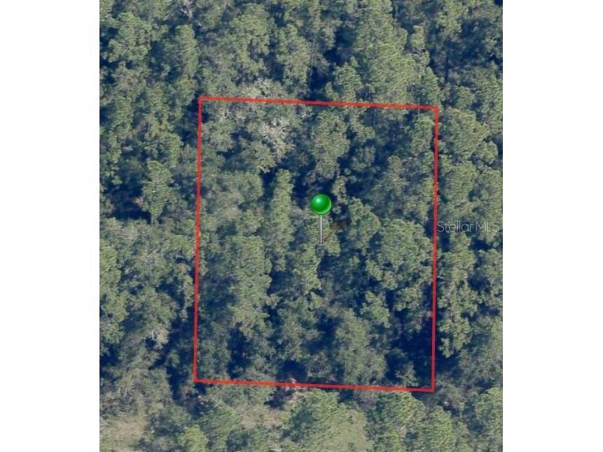 225 E Enfield Lane Citrus Springs FL 34434 A4578224 image2