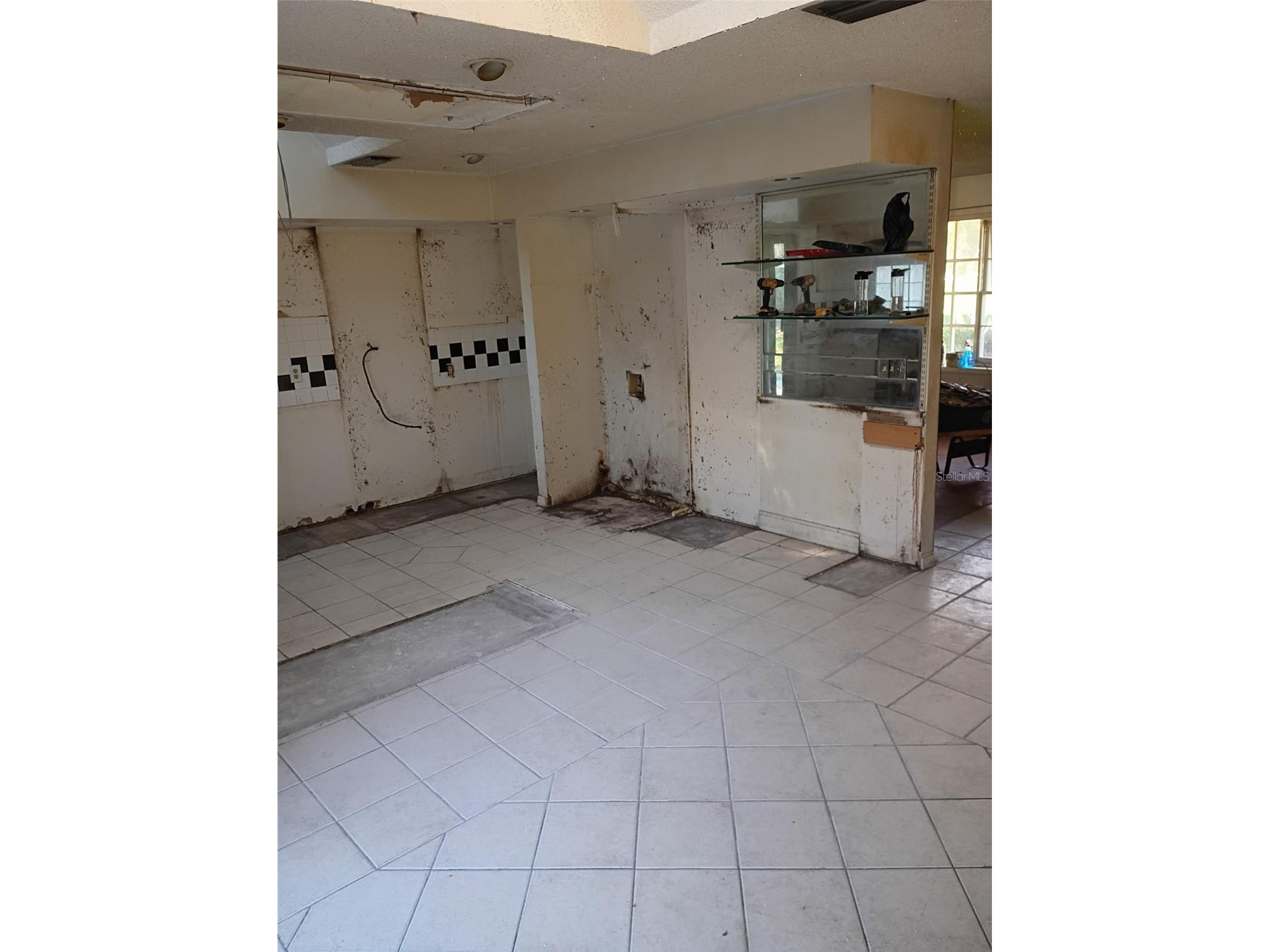 225 Fernery Road Lakeland FL 33809 L4962216 image3