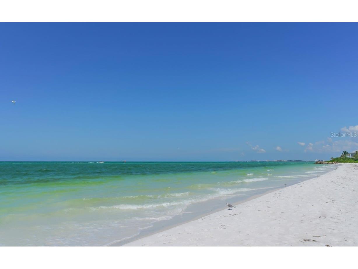 225 Hourglass Way #103 Sarasota FL 34242 - LAGOON. GULF OF MEXICO. A4664460 image79