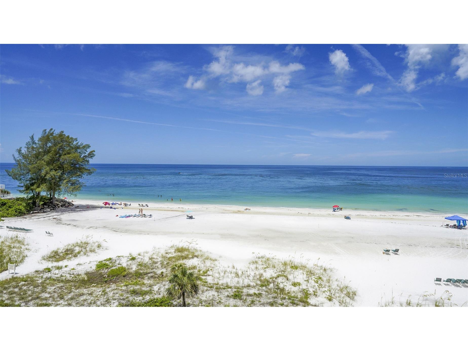 225 Hourglass Way #303 Sarasota FL 34242 TB8489788 image3