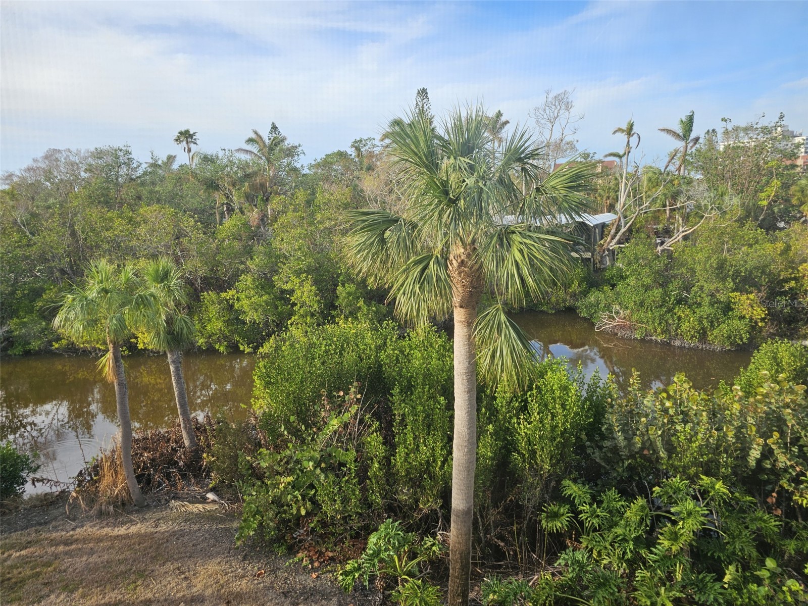 225 Hourglass Way #303 Sarasota FL 34242 TB8489788 image44