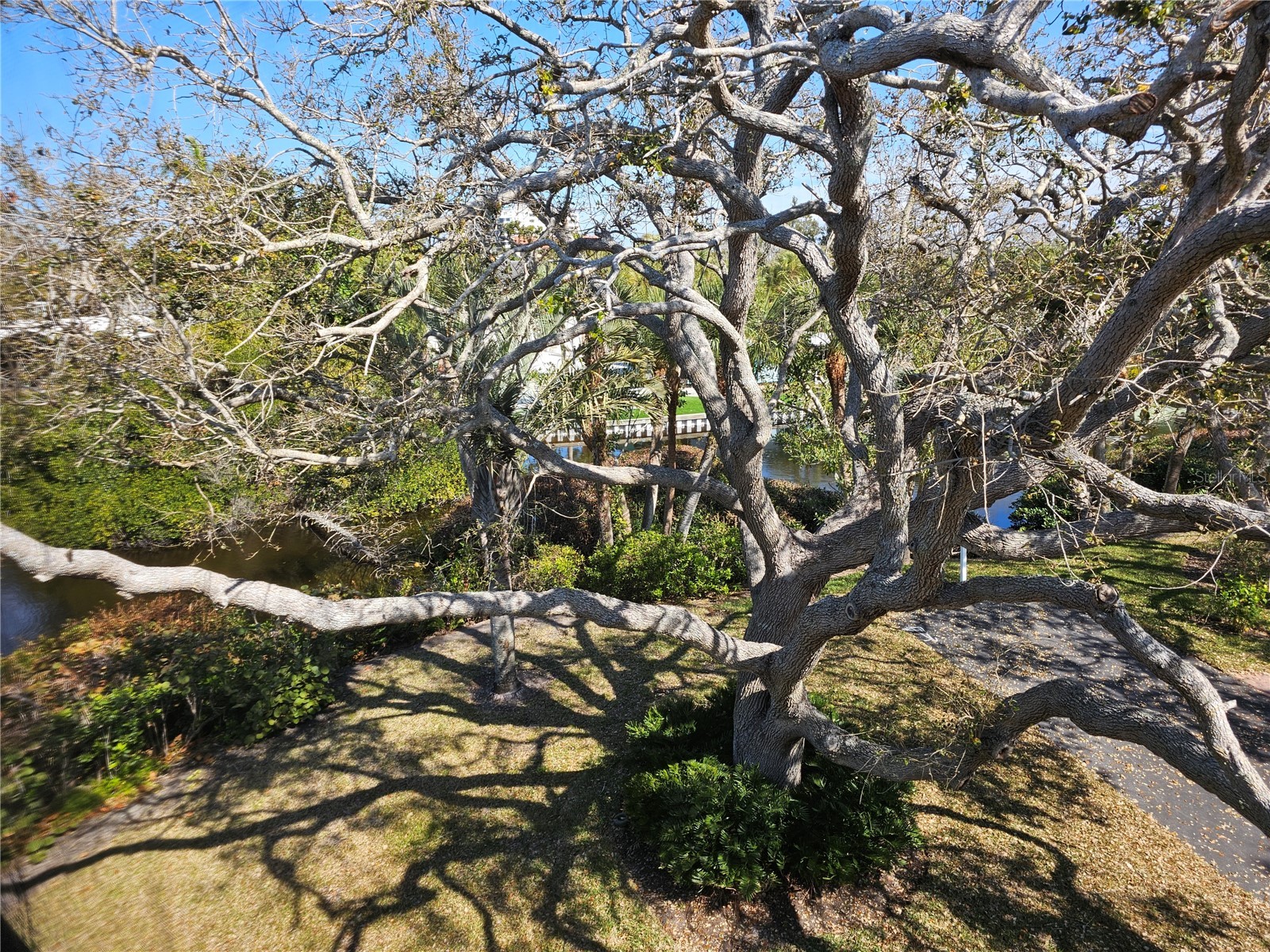225 Hourglass Way #303 Sarasota FL 34242 TB8489788 image81