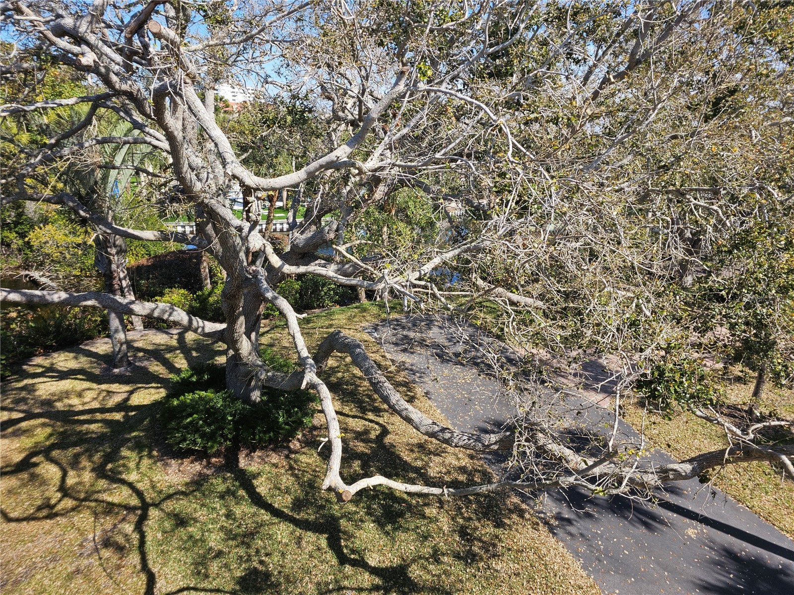 225 Hourglass Way #303 Sarasota FL 34242 TB8489788 image83