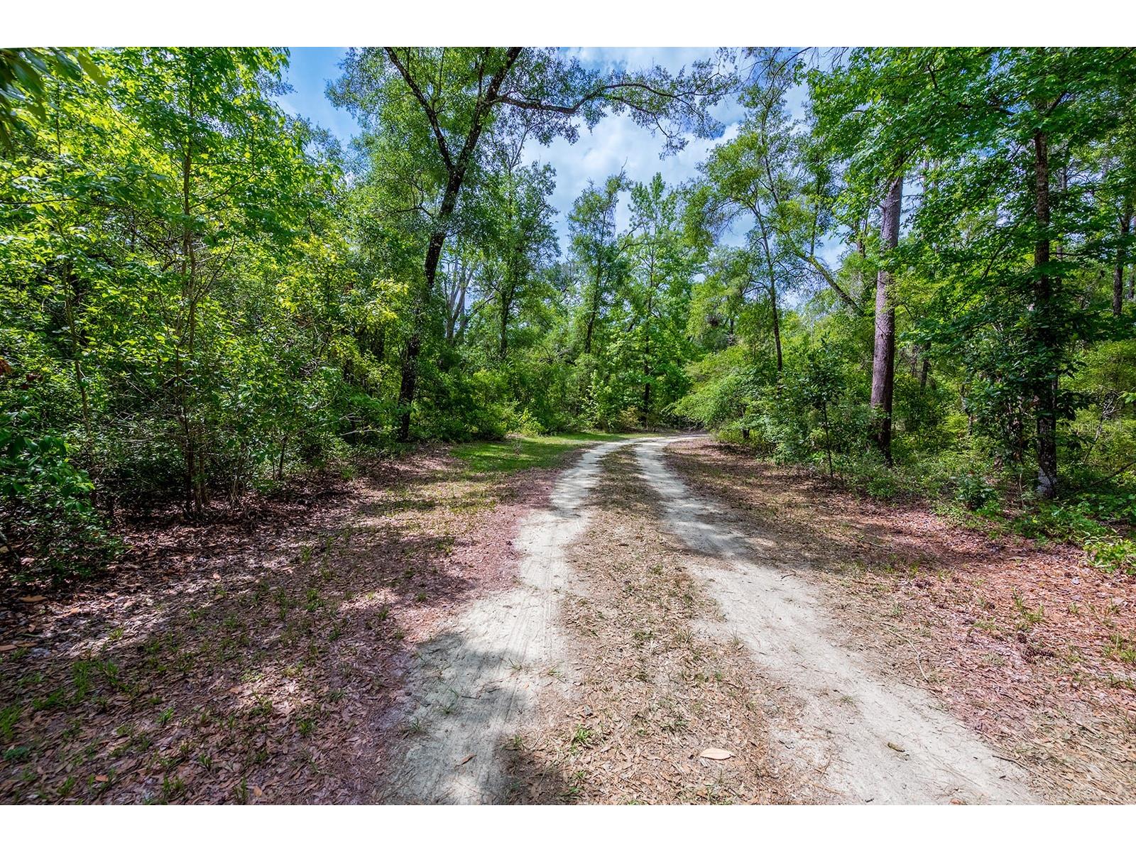 225 NE 543rd Avenue Old Town FL 32680 - SUWANNEE RIVER GC540749 image38