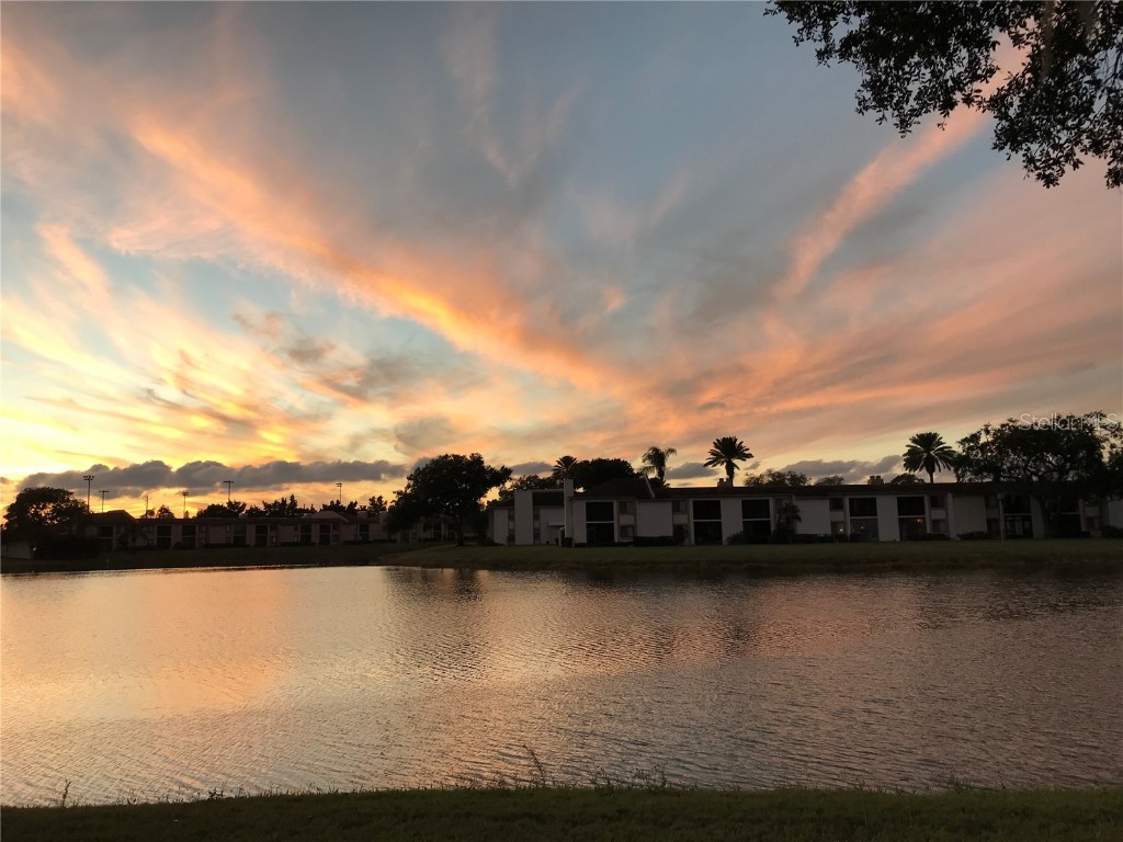 225 Nina Way #225 Oldsmar FL 34677 TB8339521 image1
