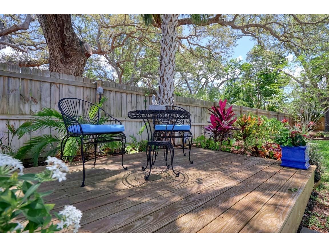 225 President Street Dunedin FL 34698 TB8428221 image50