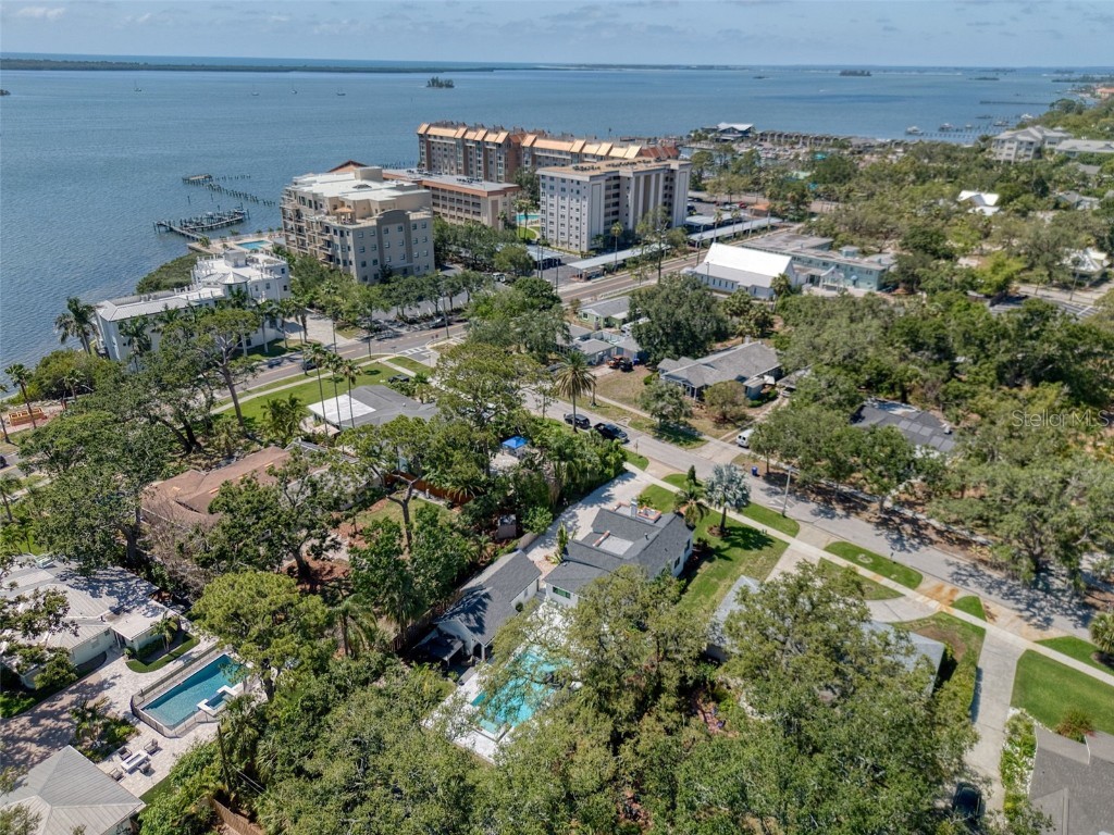 225 President Street Dunedin FL 34698 TB8428221 image79