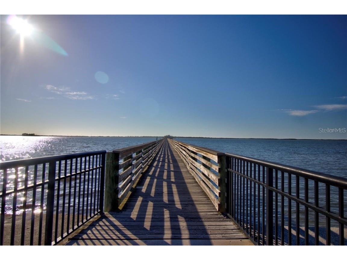 225 President Street Dunedin FL 34698 TB8428221 image91