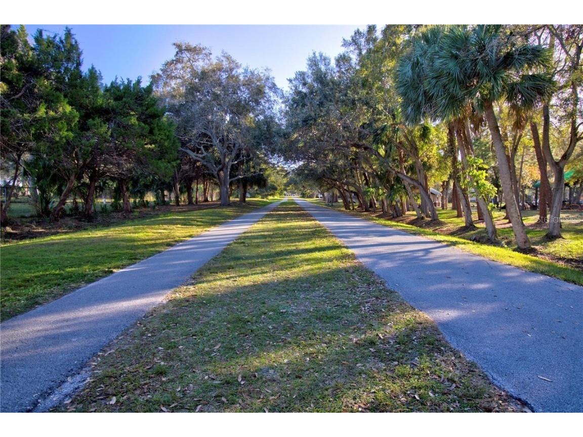 225 President Street Dunedin FL 34698 TB8428221 image92