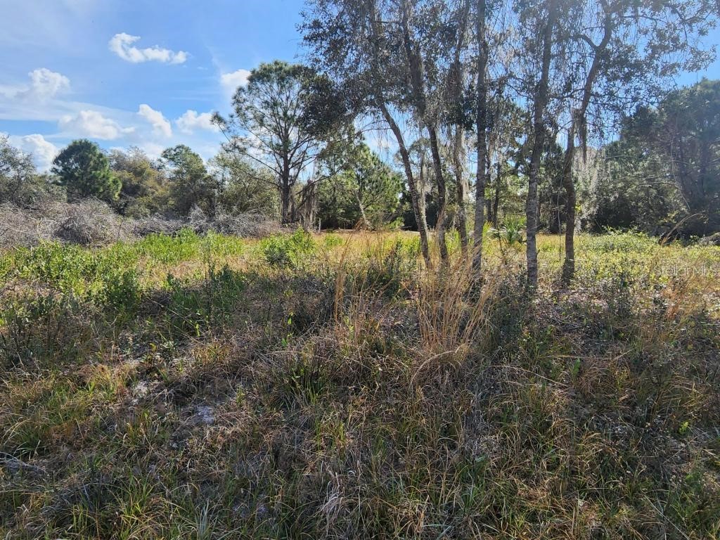 225 Red Fox Drive Drive Sebring FL 33876 S5076582 image1